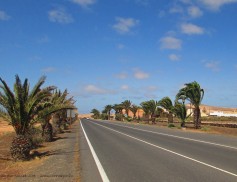 la-oliva-carretera