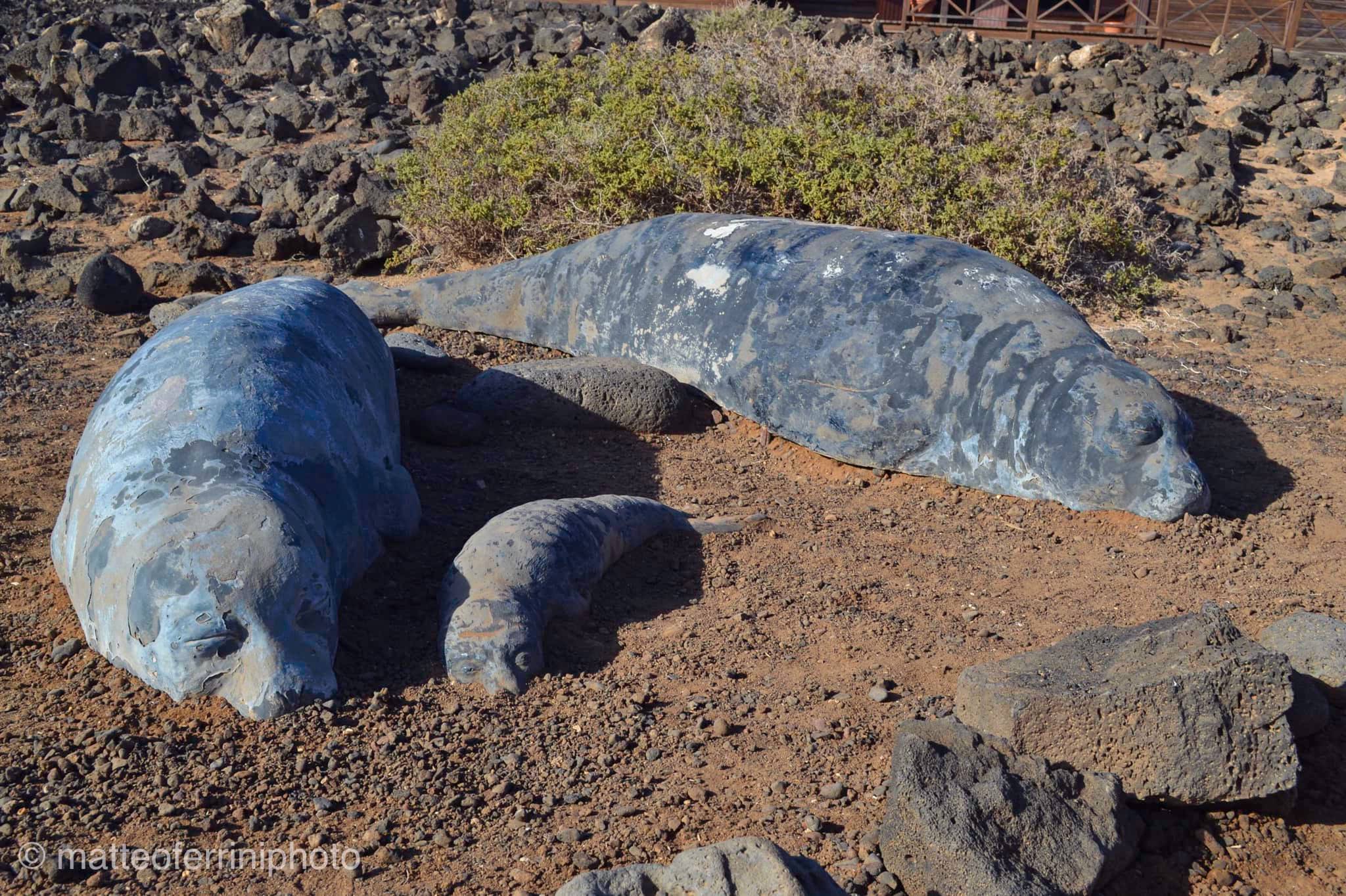 Isla de Lobos, Corralejo, Fuerteventura