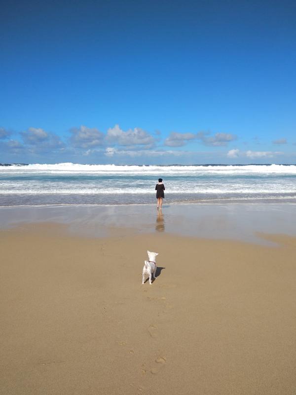 Chica Playa Fuerteventura Islas Canarias