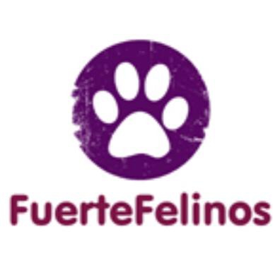 LOGOTIPO de fuertefelinos