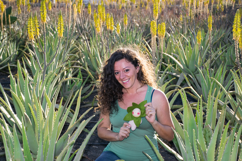 Vera la pequeña aloe alessia notarianni la piccola aloe fuerteventura