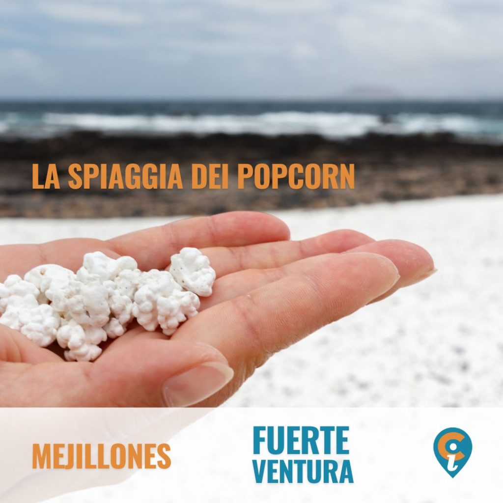 Mejillones