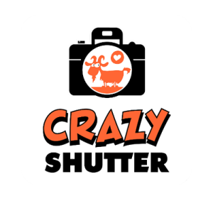 crazy-shutter-foto-fuerteventura-photos-logo