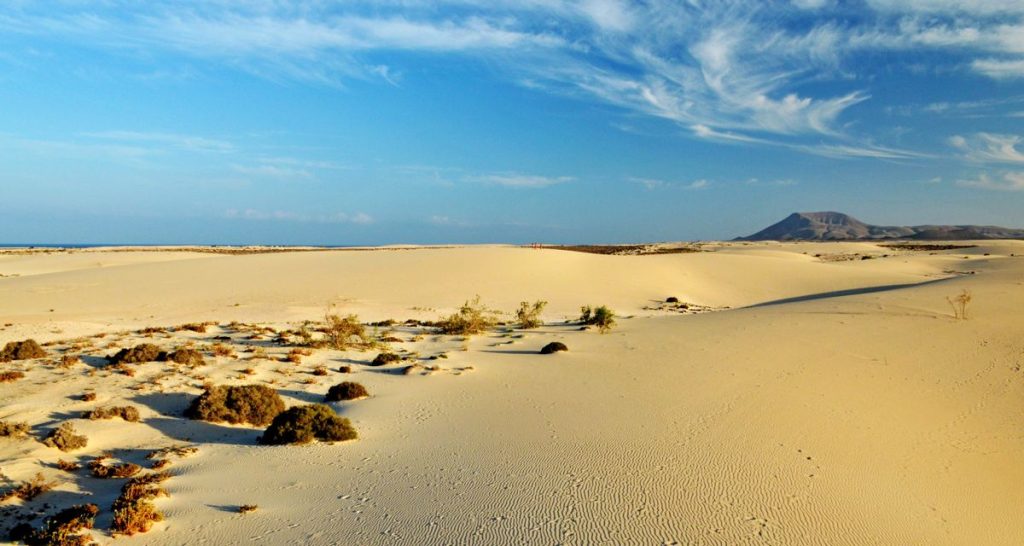 Spiaggia Dorata Fuerteventura