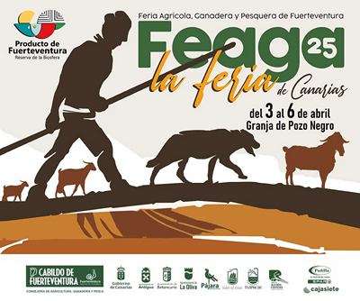 Feaga 2025 Fuerteventura 9 Feaga 2025 Fuerteventura