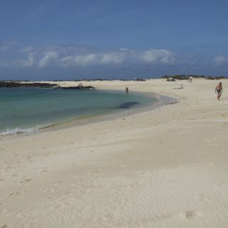 El_cotillo_playas_logo.JPG
