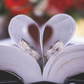 Ftv_bodas_weddings_logo.png