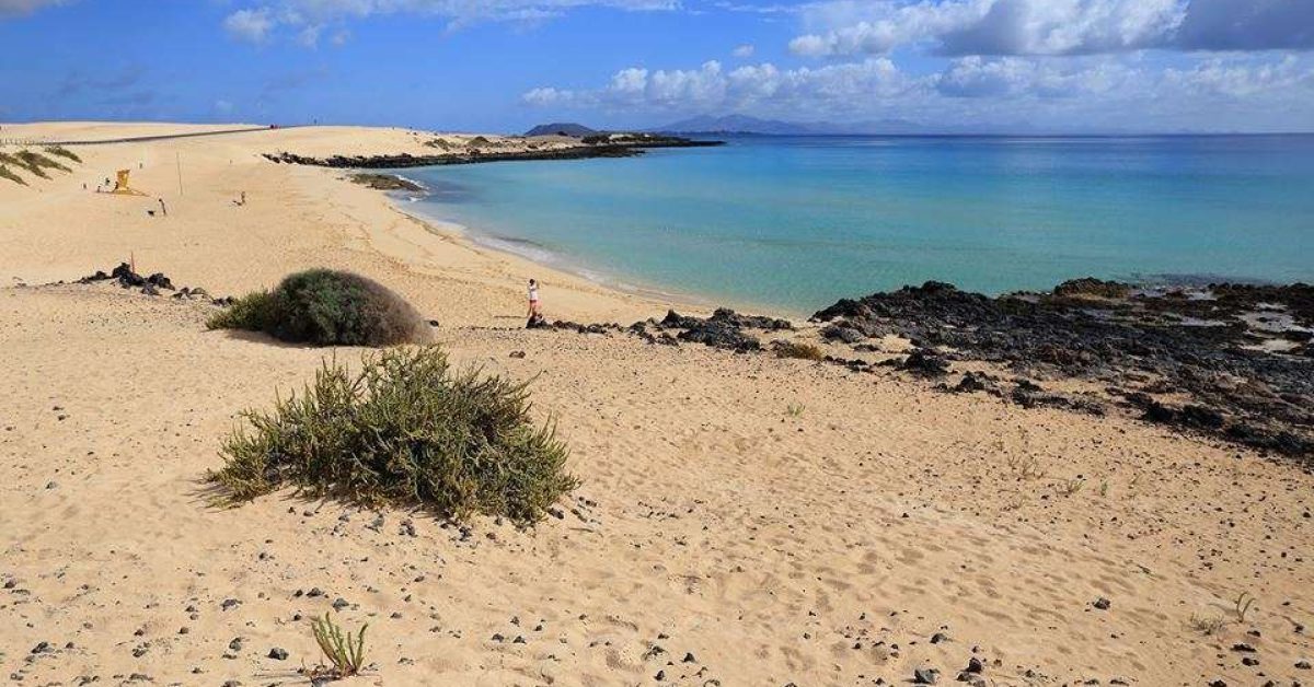 Playas Fuerteventura La Oliva