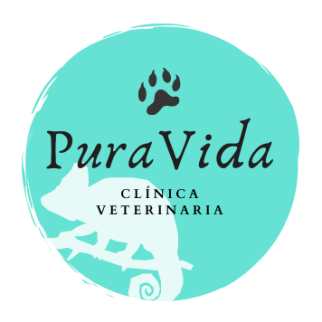 PuraVida_logo-ok.png