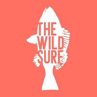 TheWildSurf_logo.jpg