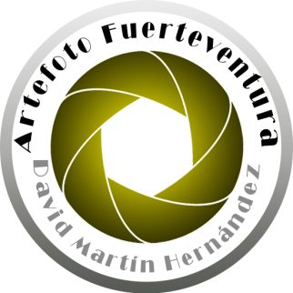 artefoto-logo.jpg