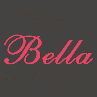 bella peluqueria logo.png