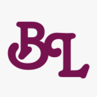brico-lanzarote-logo.png