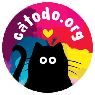 Catodo Fuerteventura Cats