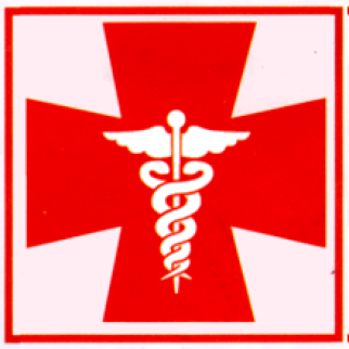 Clinica Brisamar Logo.png