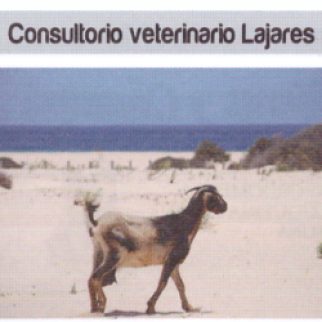 consultorio_veteri_lajares.jpg