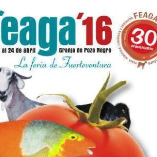 feaga_teaser_2016