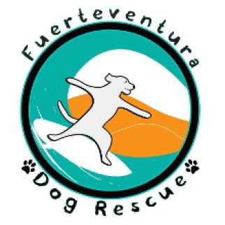 fuerteventura_dog_rescue.jpg