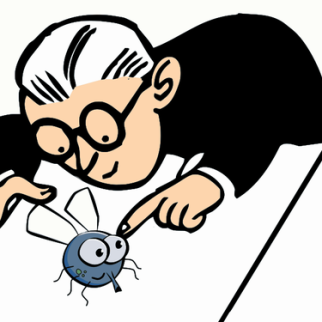 mosca-logo