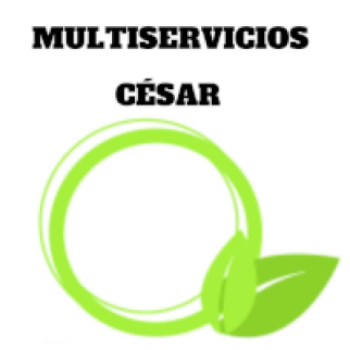 multiservicios-cesar-LOGO.png
