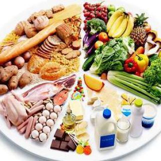 nutricion-logo