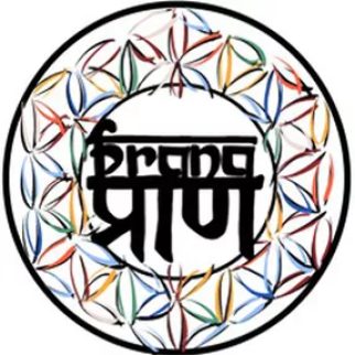 prana-terapias-naturales-LOGO.jpg