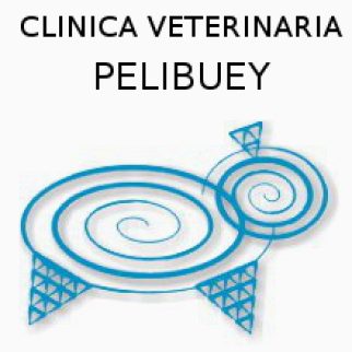 veterinario pelibuey logo_00.jpg